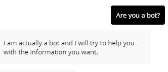 Chatbot Witty Response